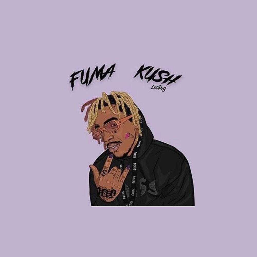 Picture of Fuma Kvsh