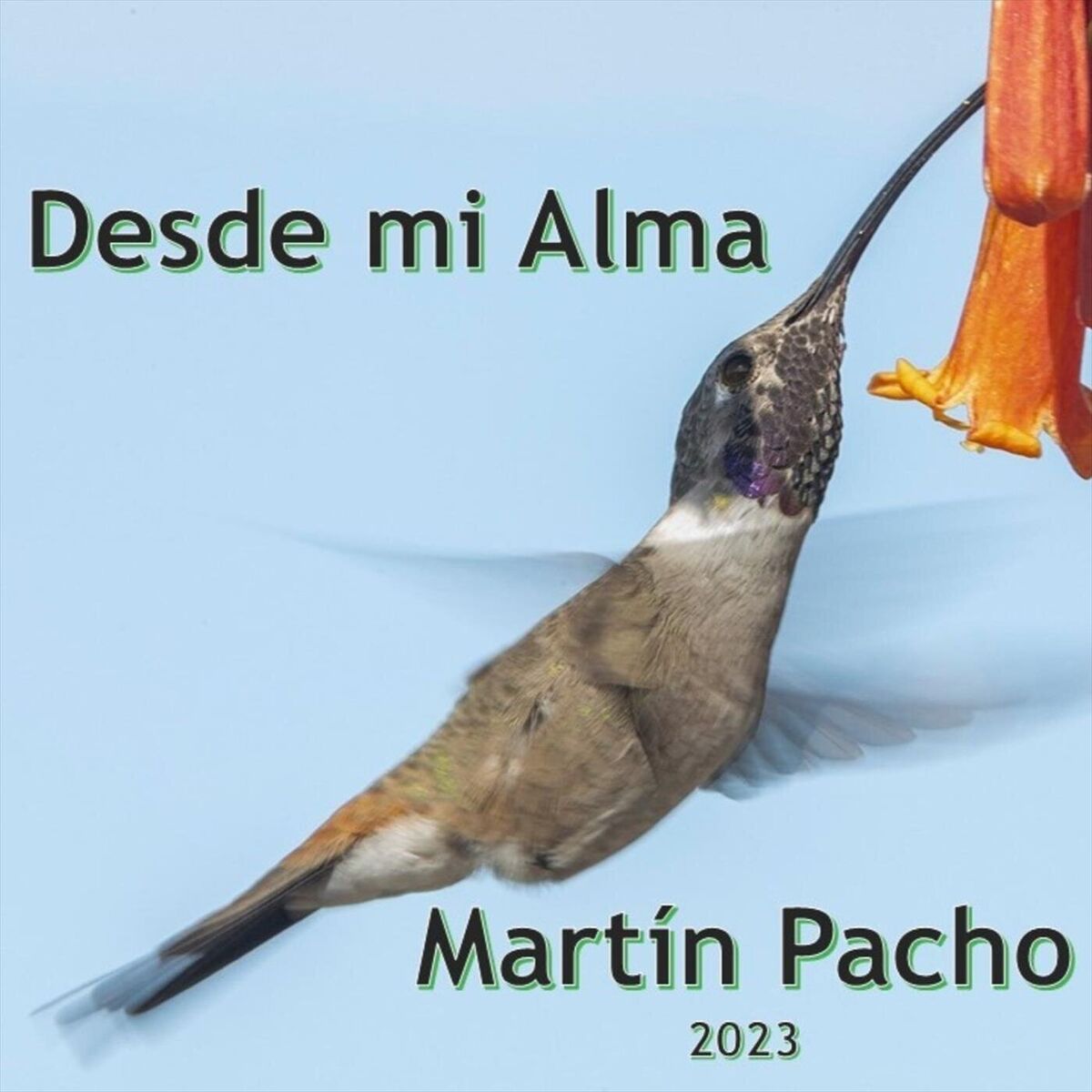 Album cover of Desde Mi Alma