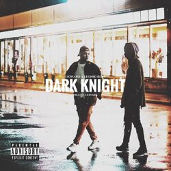 Cover of Dark Knight