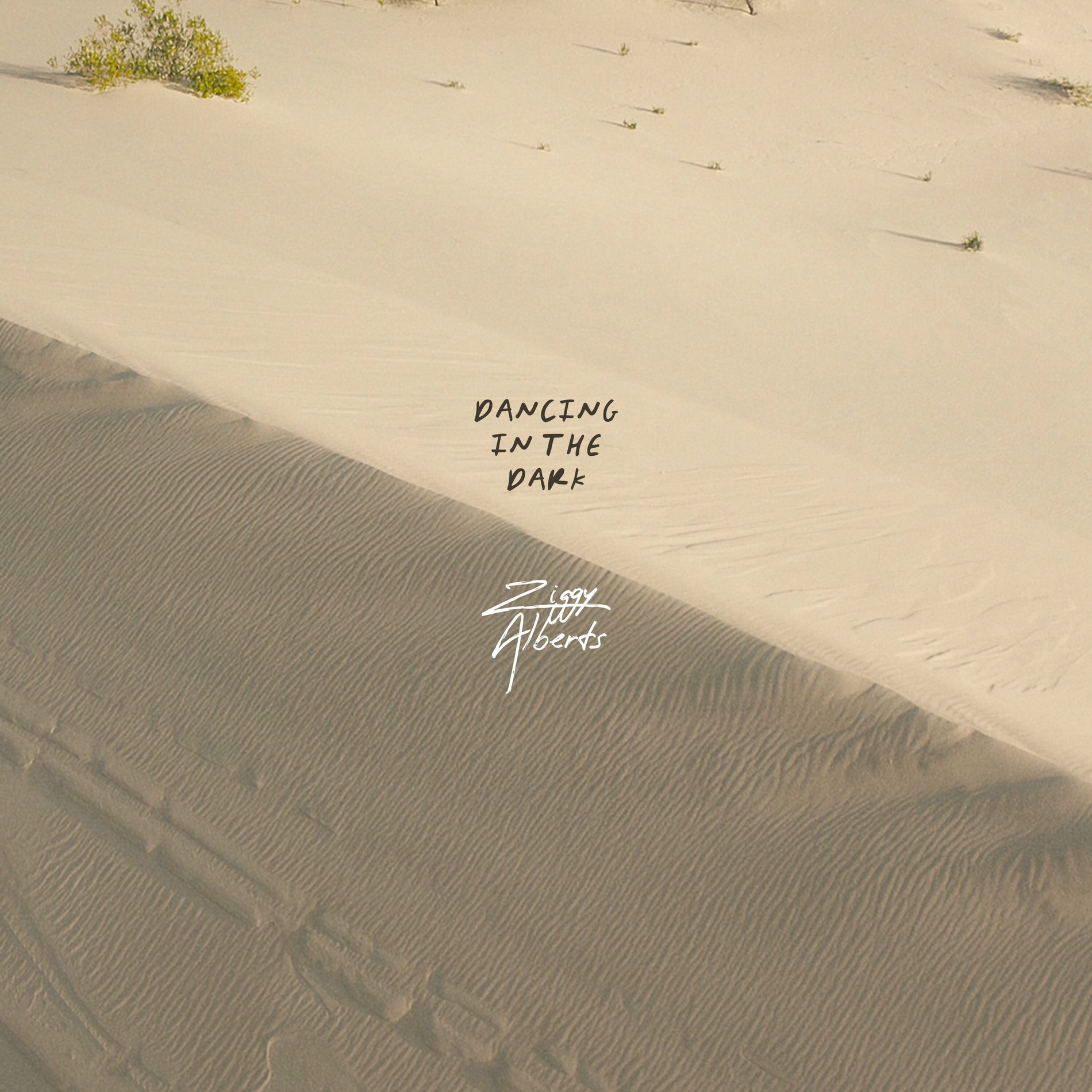 Album cover of THE GREAT DIVIDE