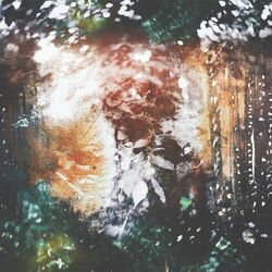 Cover of Time Without End