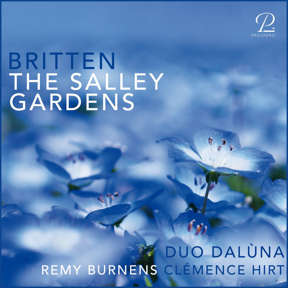 The Salley Gardens