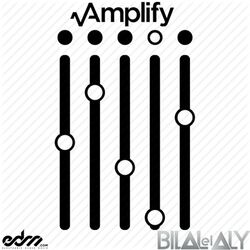 Cover of Amplify