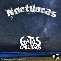 Cover of Noctilucas