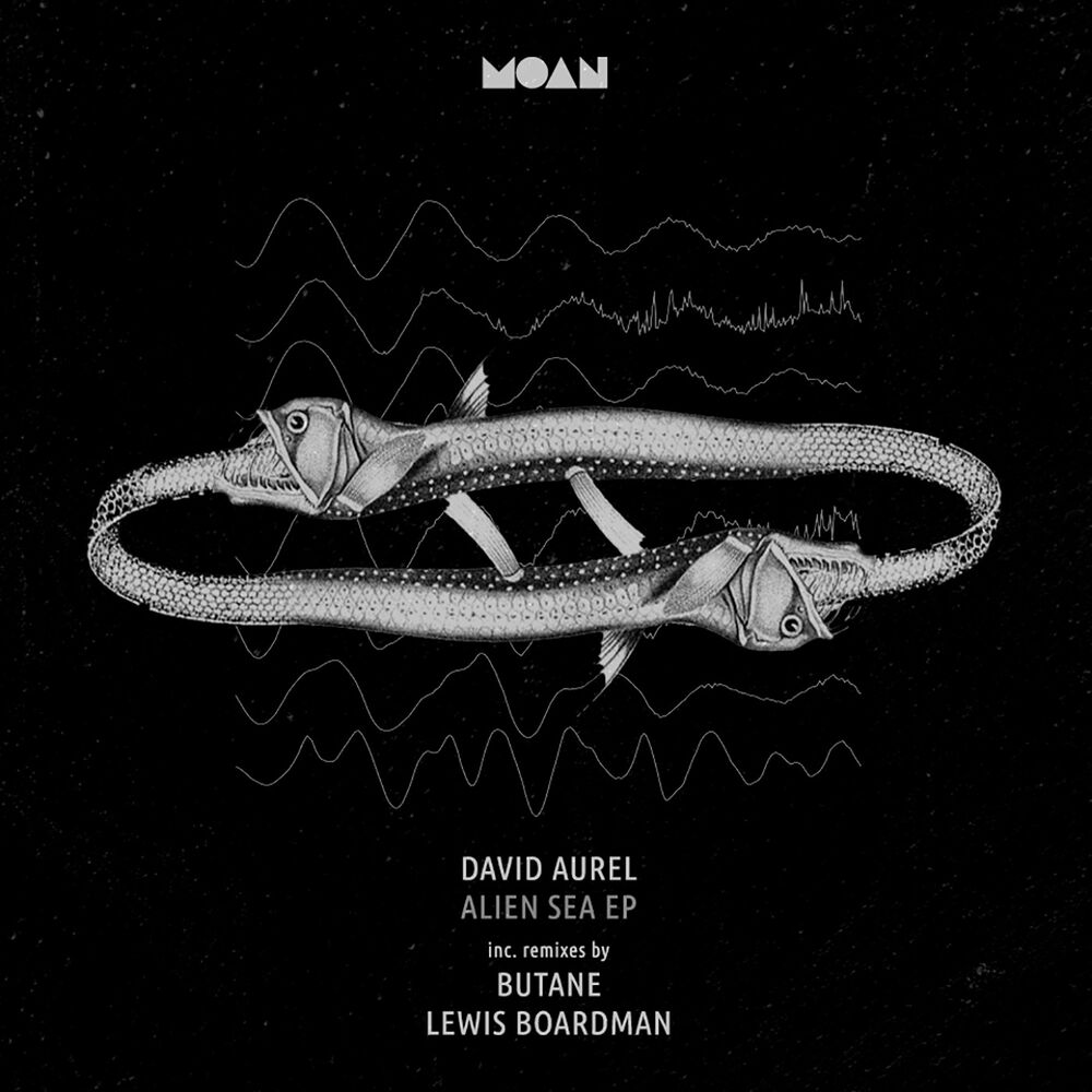 Picture of Alien Sea EP