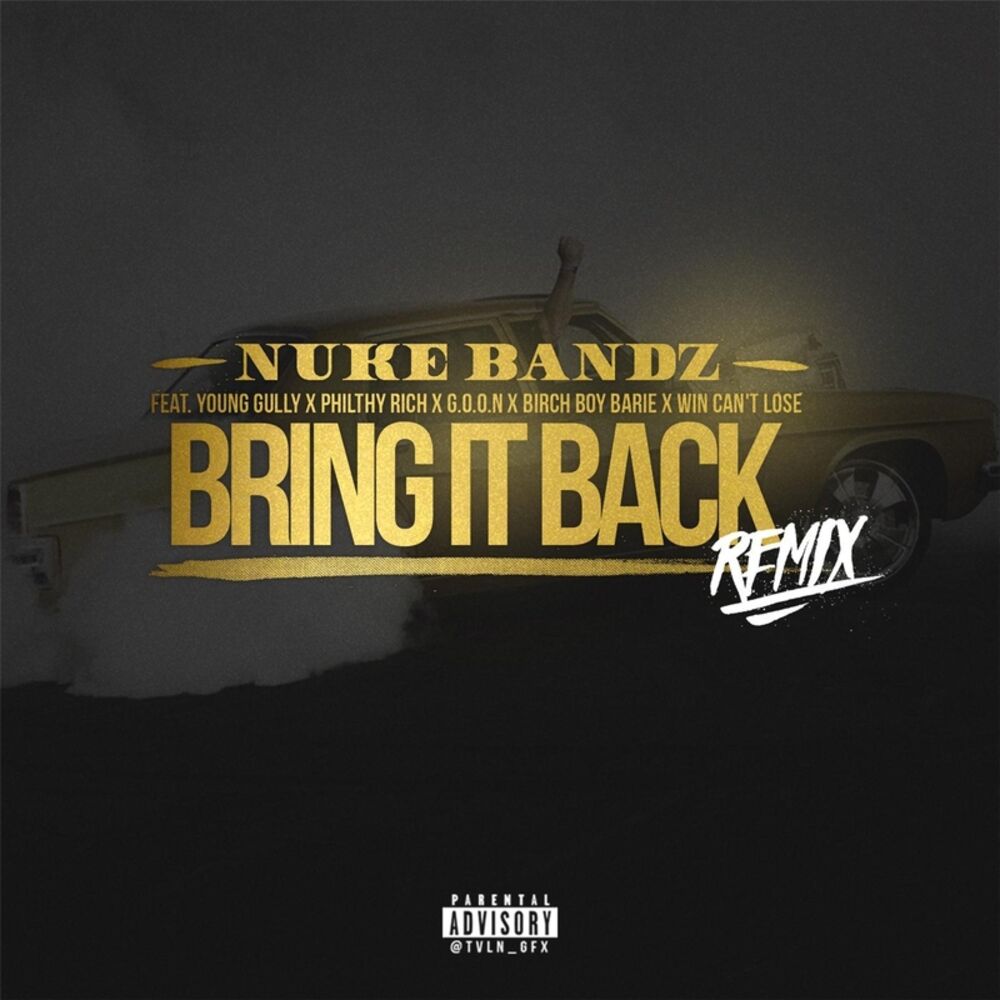Picture of Bring It Back (Remix)