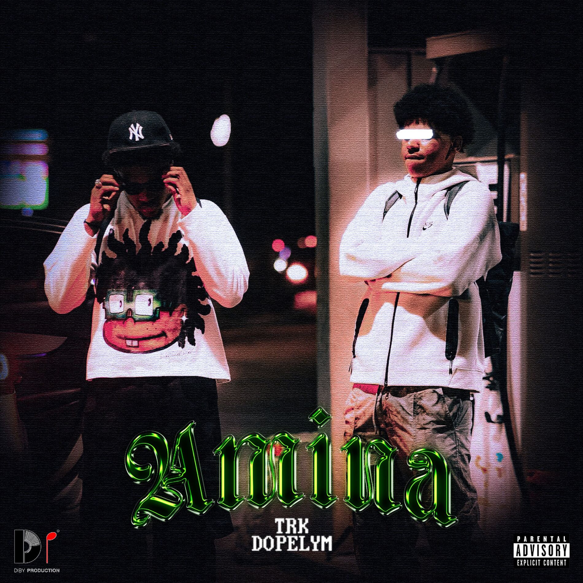 Album cover of Amina