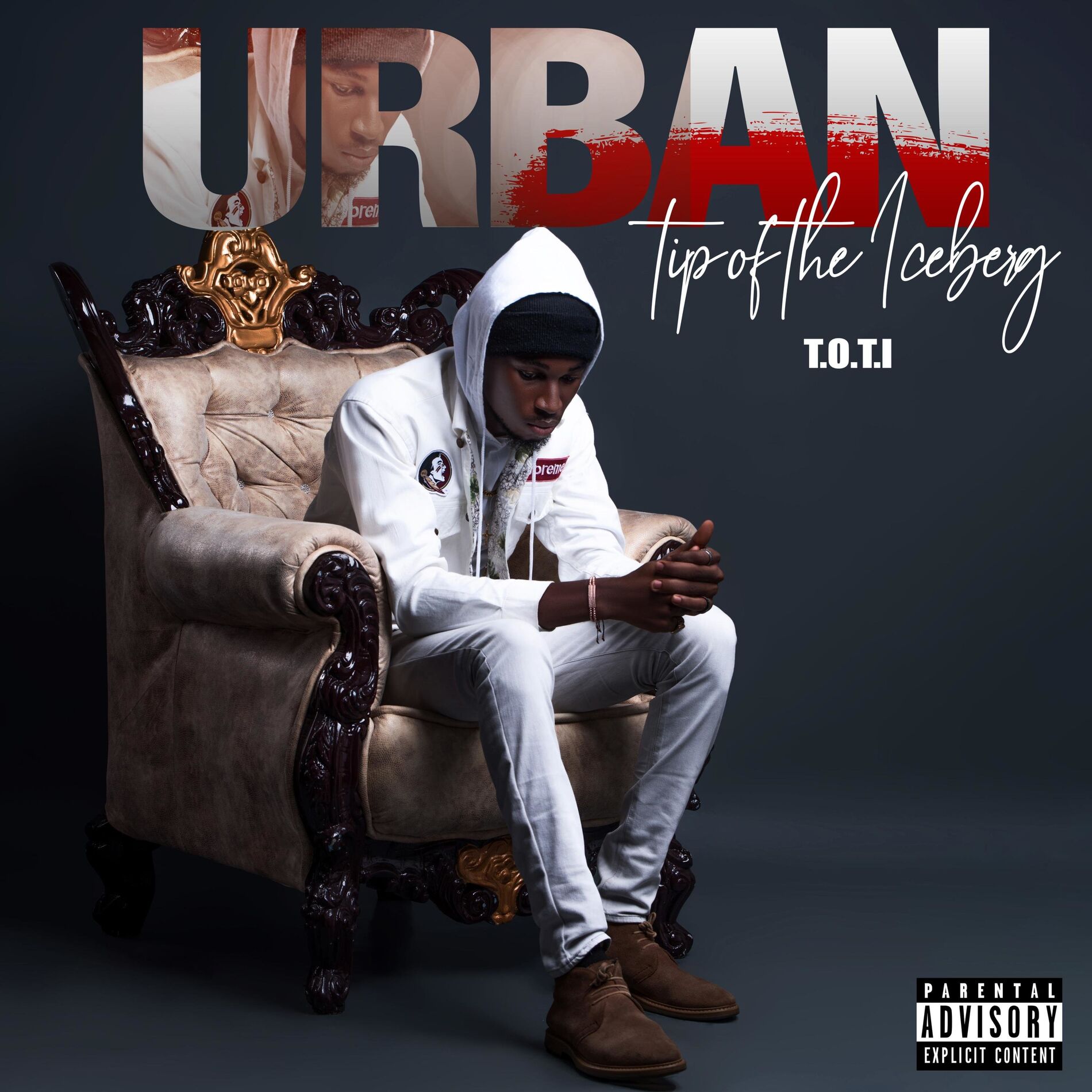 Album cover of Tip of the Iceberg
