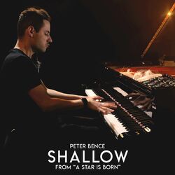 Cover of Shallow