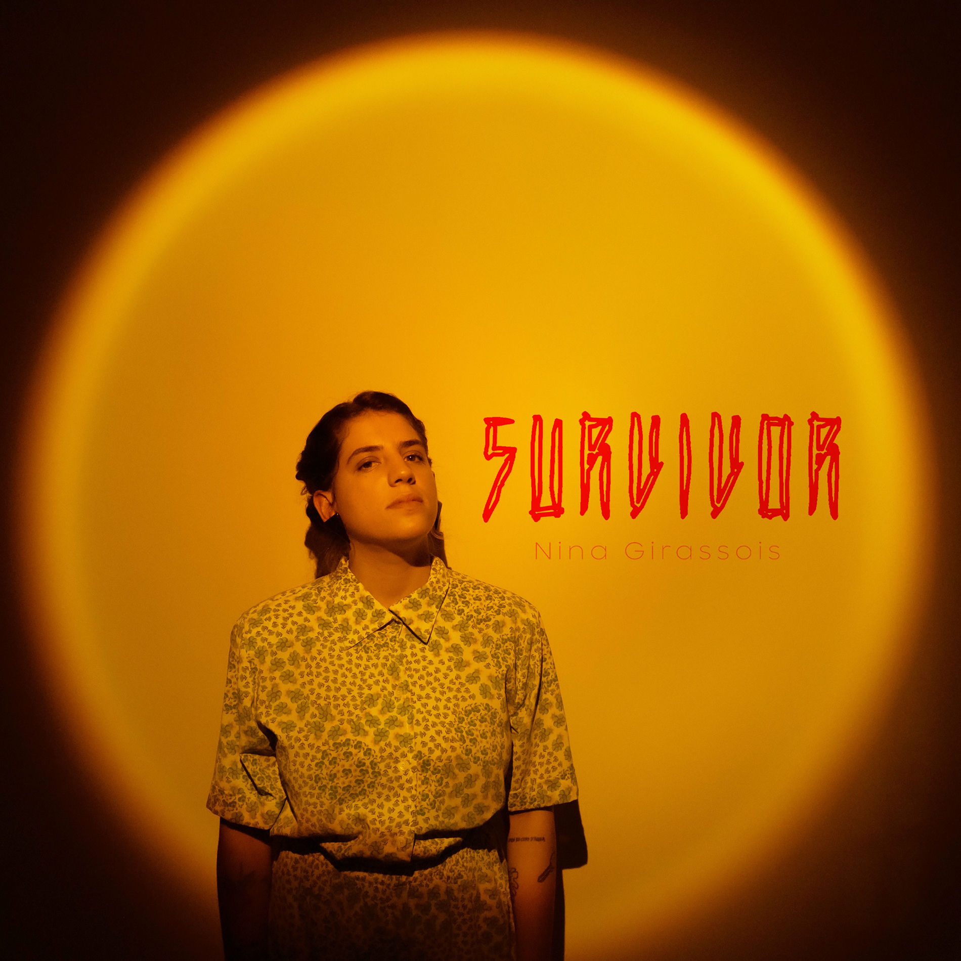 Album cover of I'm a Survivor