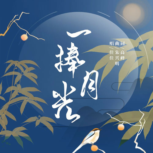一捧月光