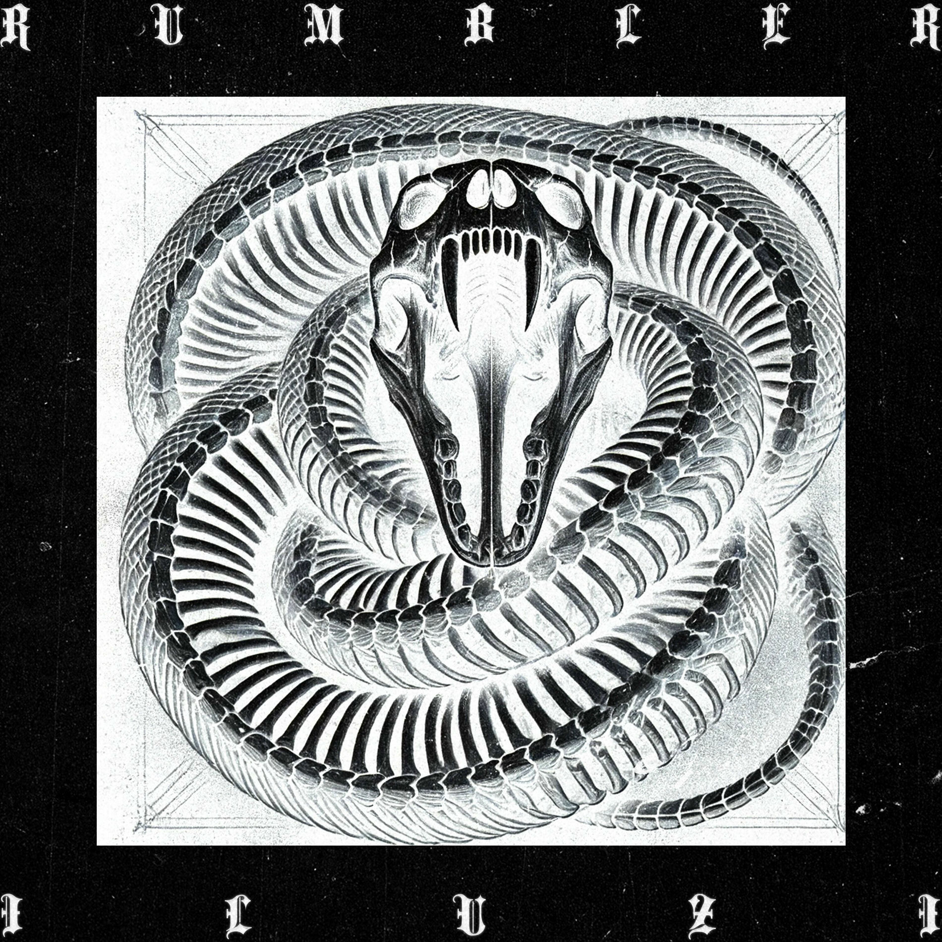 Album cover of Rumbler
