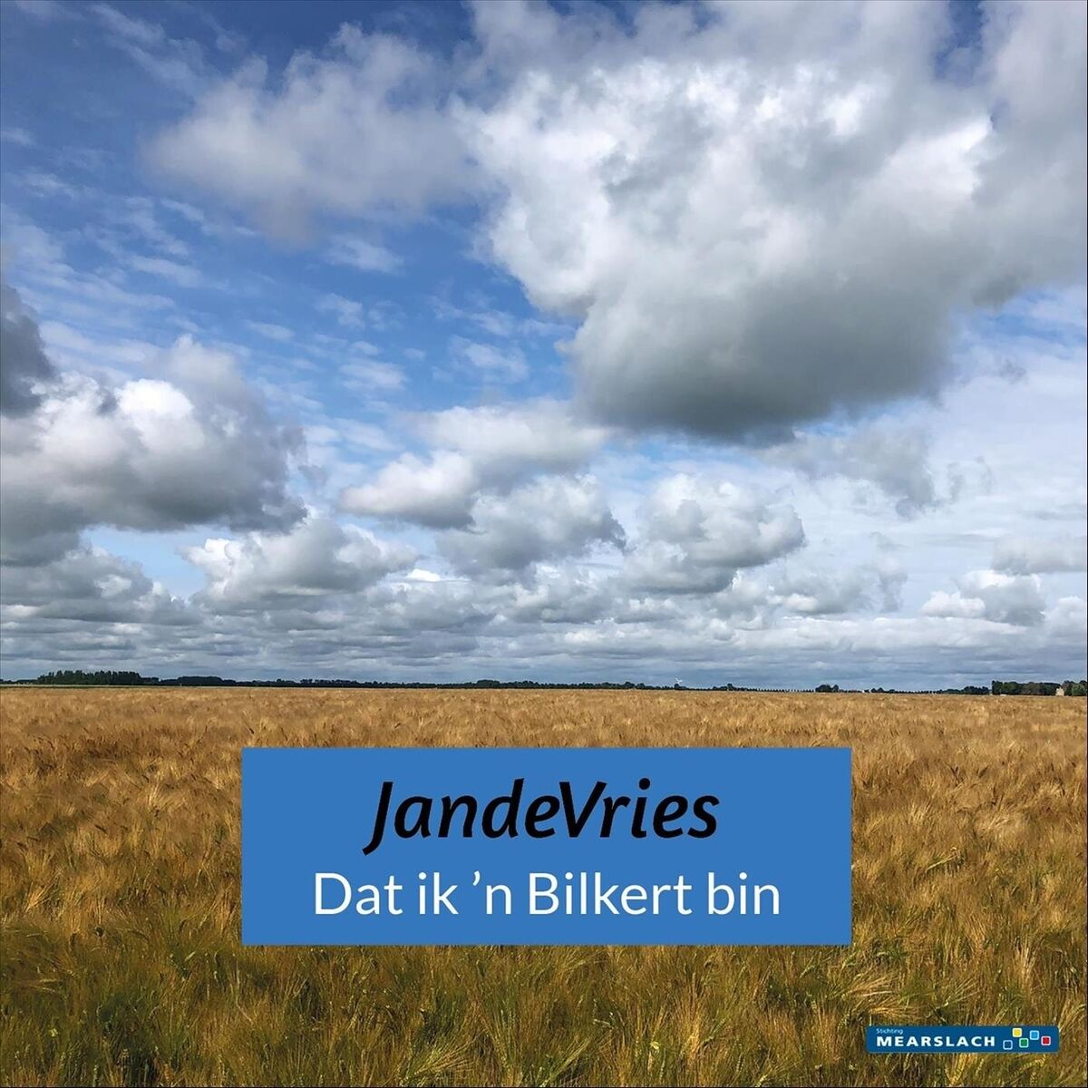 Album cover of Dat ik ’n Bilkert bin