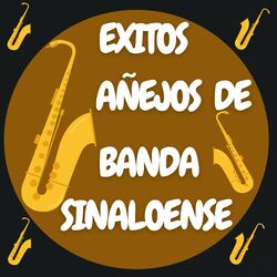 Cover of Exitos Añejos De Banda Sinaloense