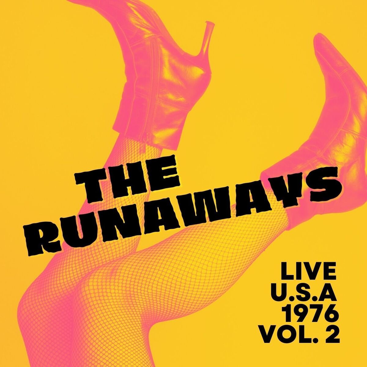 Album cover of The Runaways Live, U.S.A., 1976, vol. 2