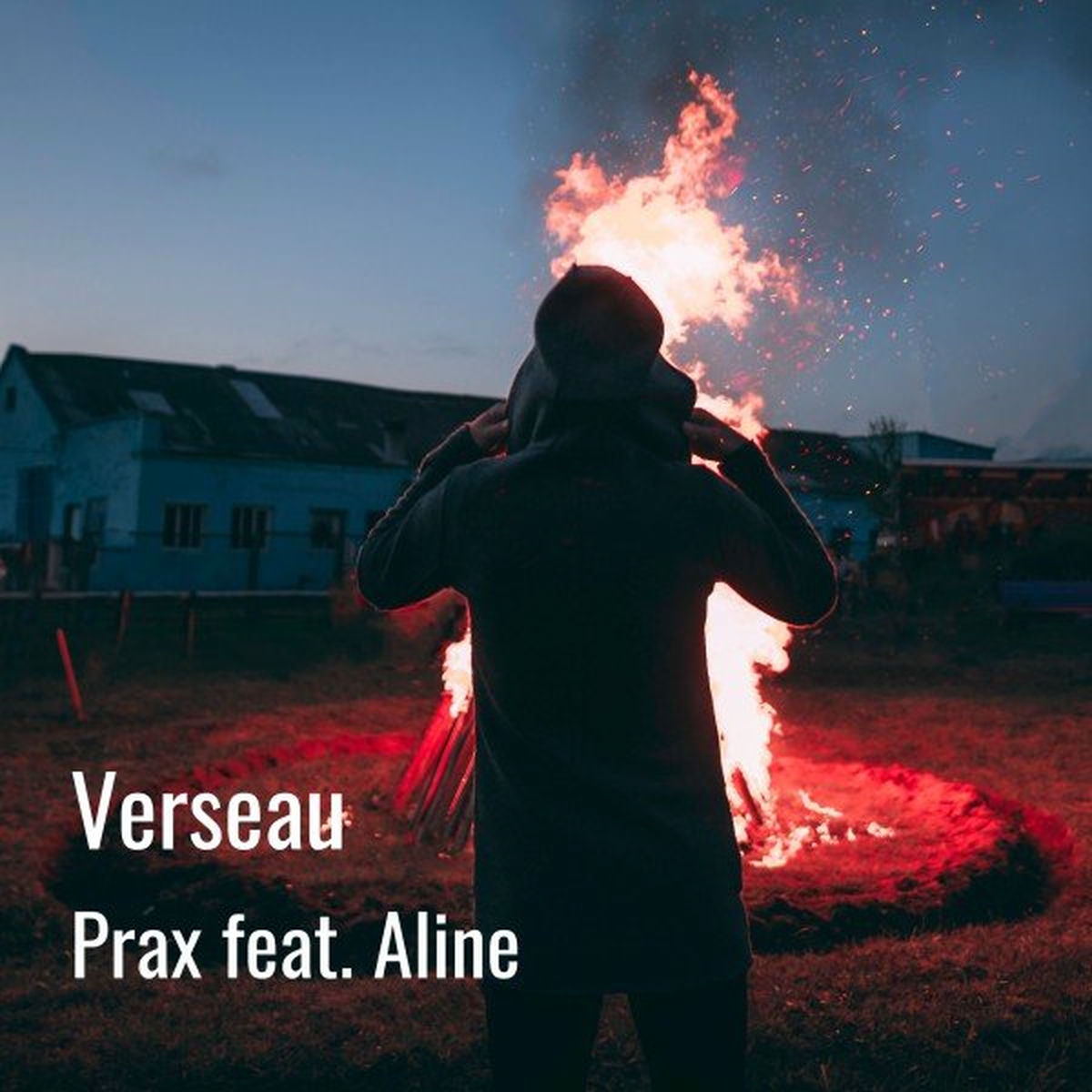Album cover of Verseau