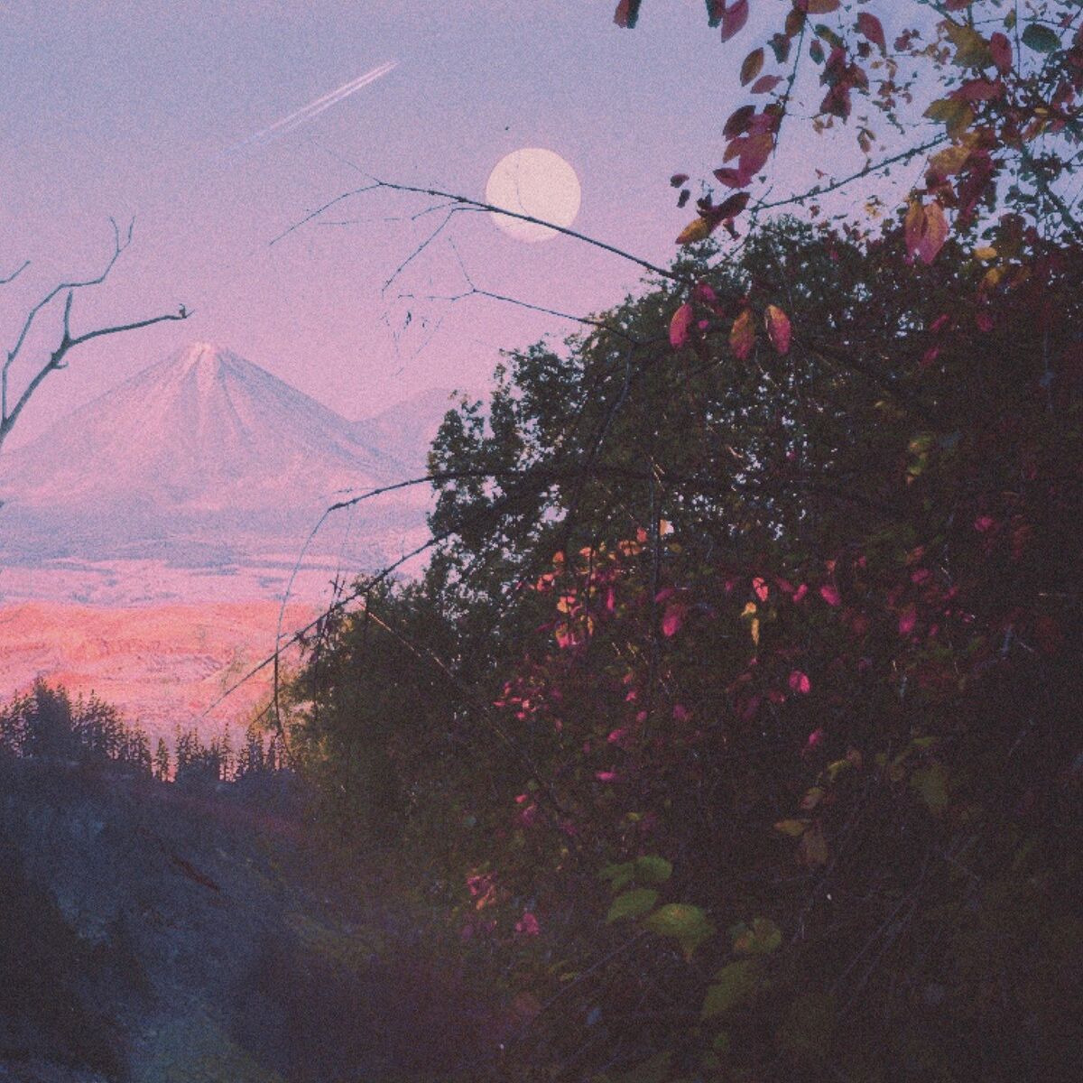 Album cover of lost