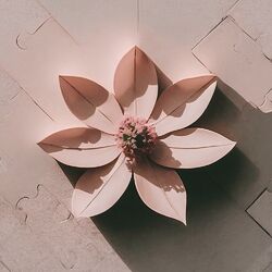 Cover of Shadow