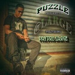 Cover of @ Large