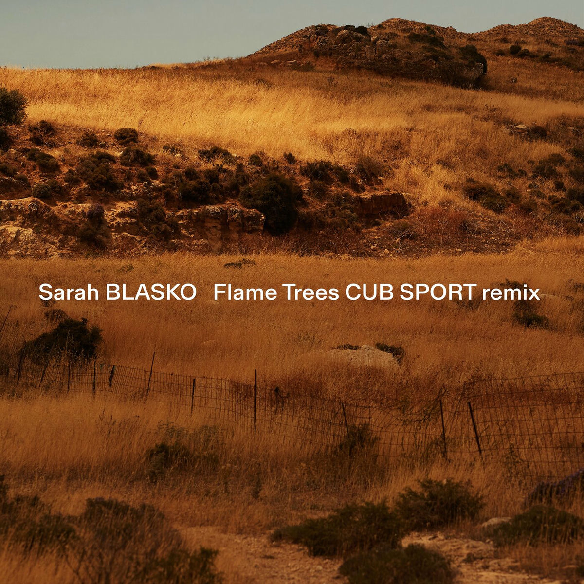 Album cover of Flame Trees