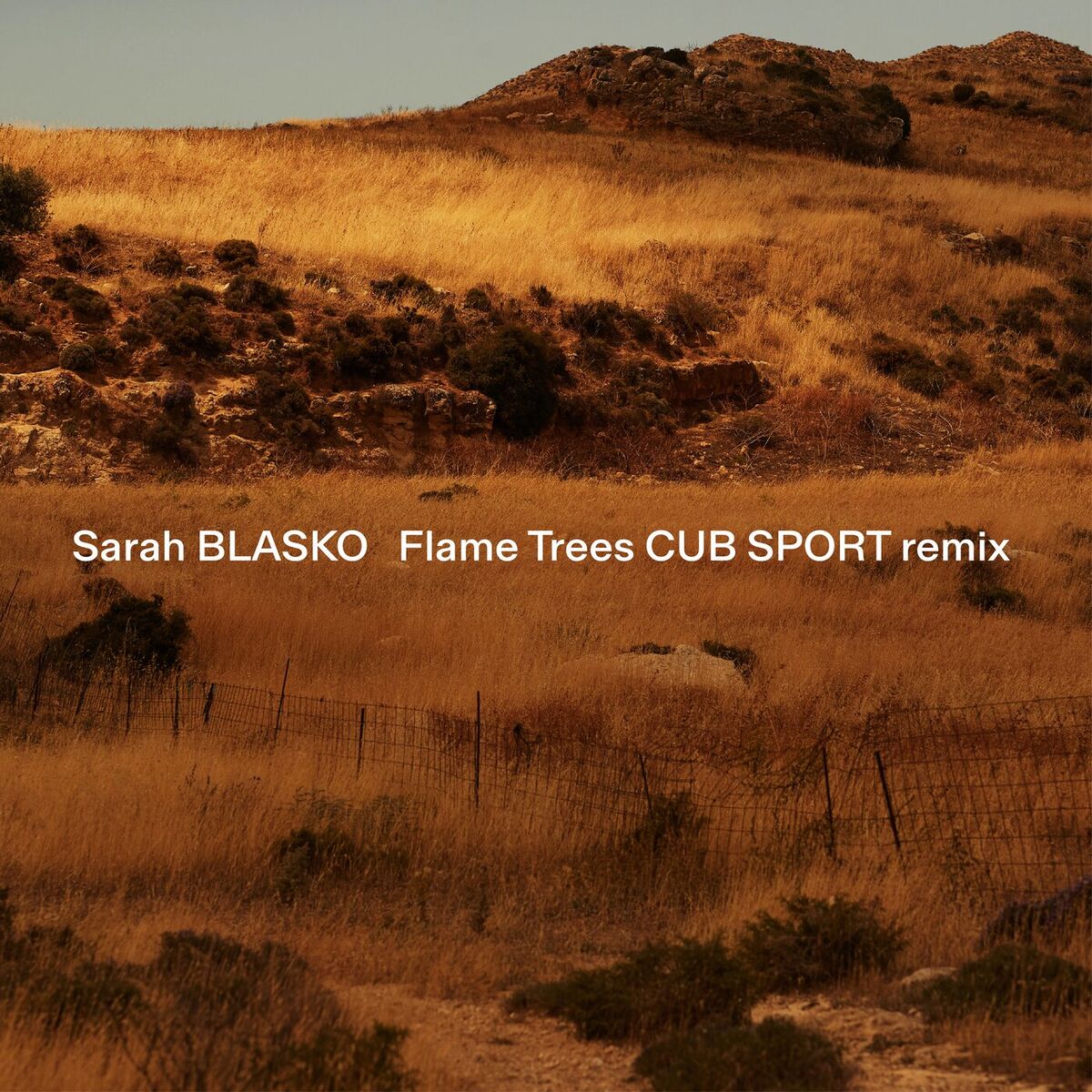 Album cover of Flame Trees (Cub Sport Remix)