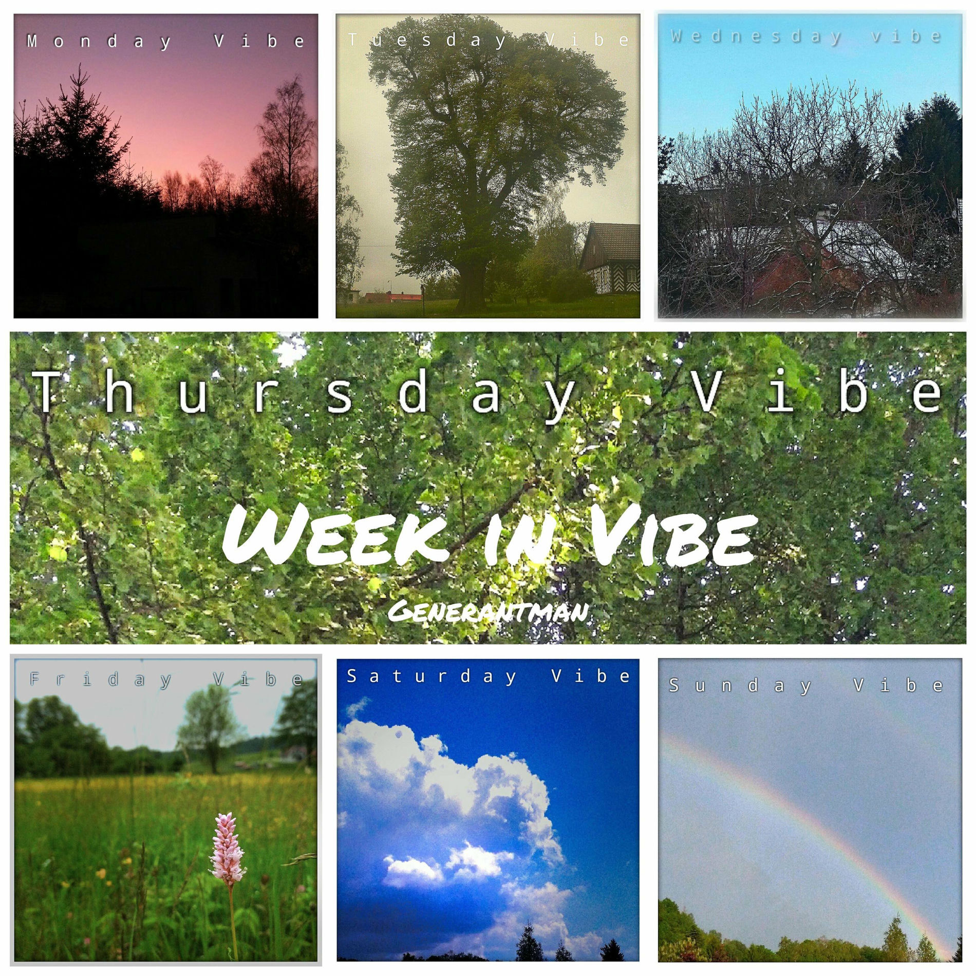 Album cover of Week in Vibe