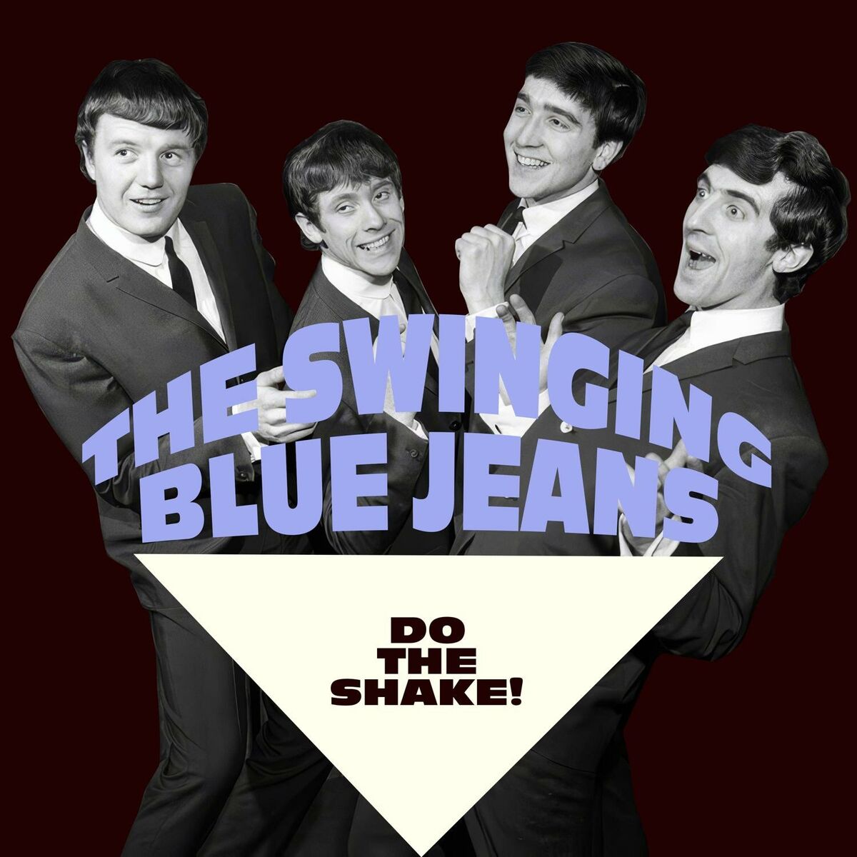 Album cover of Do the Shake!