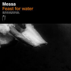 Cover of Feast for Water