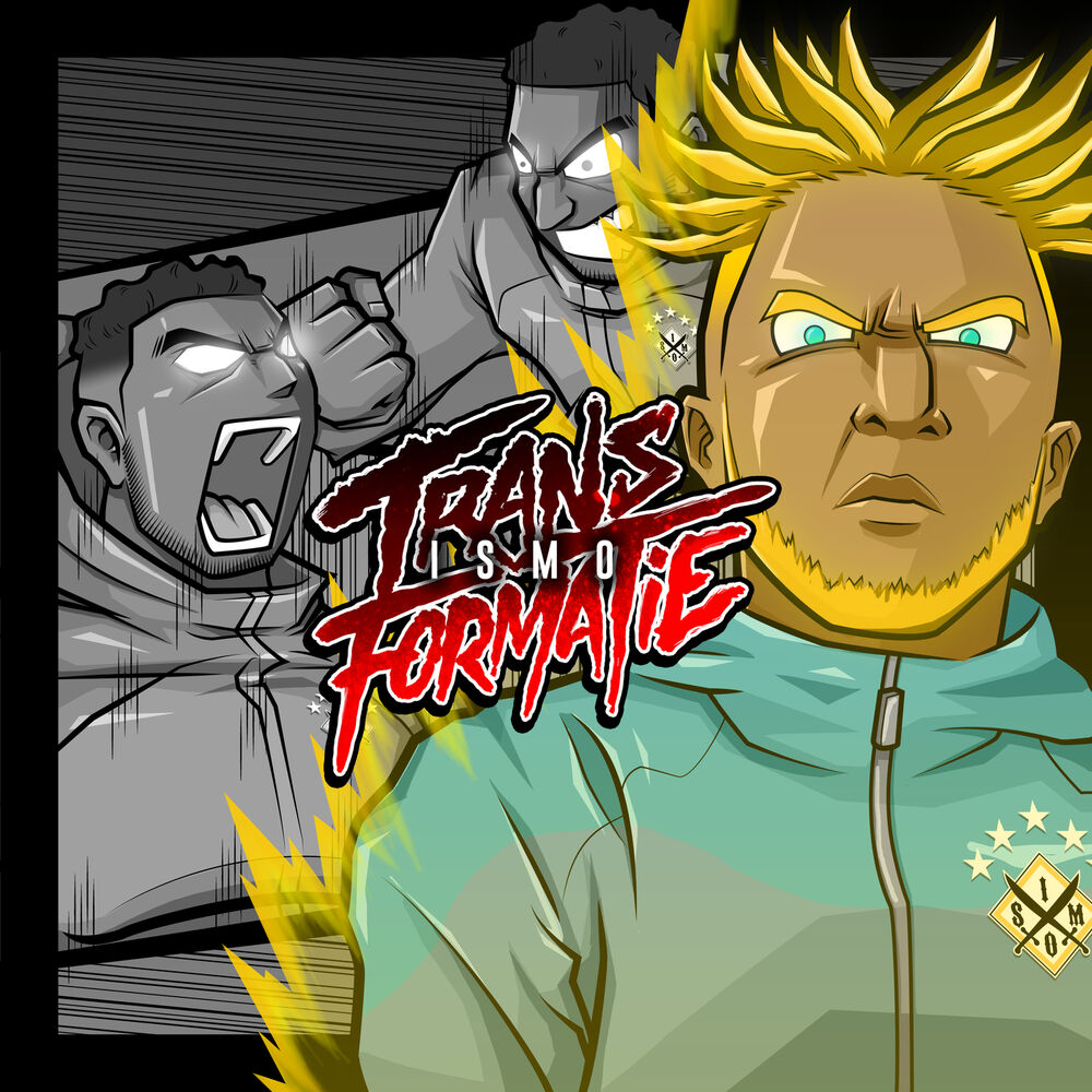 Picture of Transformatie