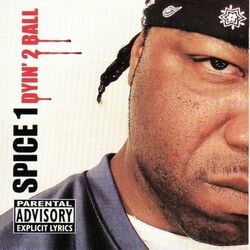 Cover of Dyin' 2 Ball
