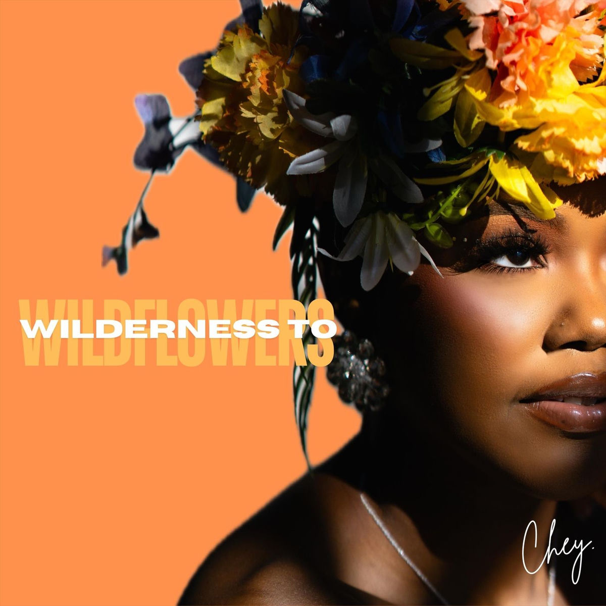 Album cover of Wilderness to Wildflowers