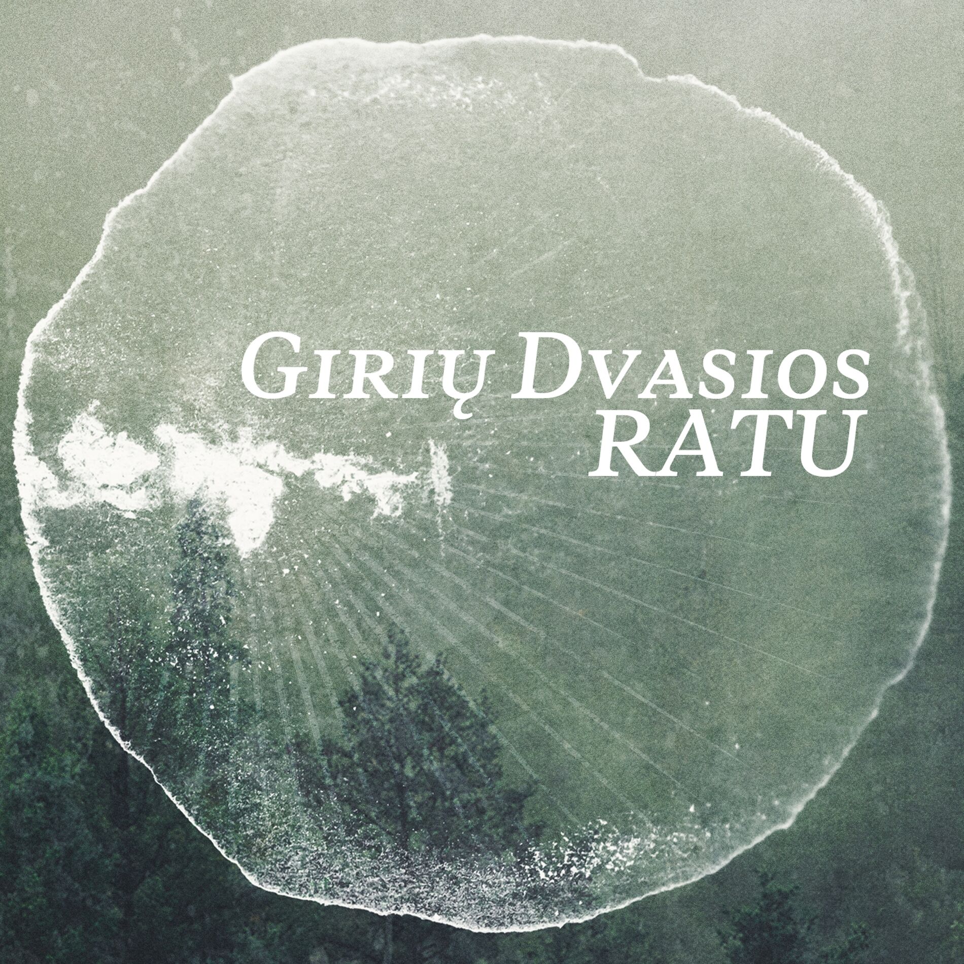 Album cover of Nuslaida saulala