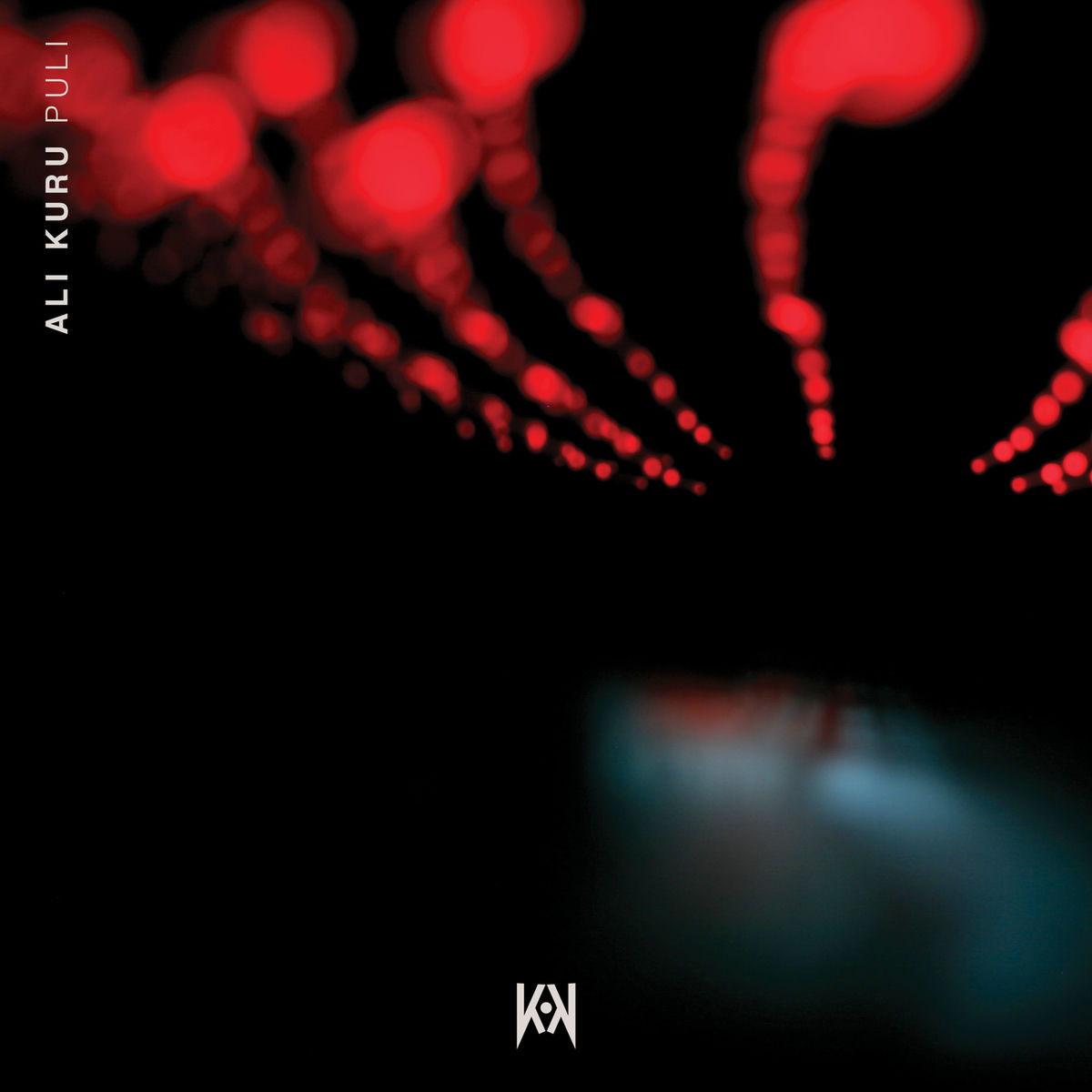 Album cover of Puli EP