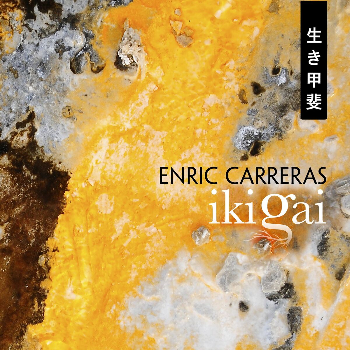 Album cover of Ikigai