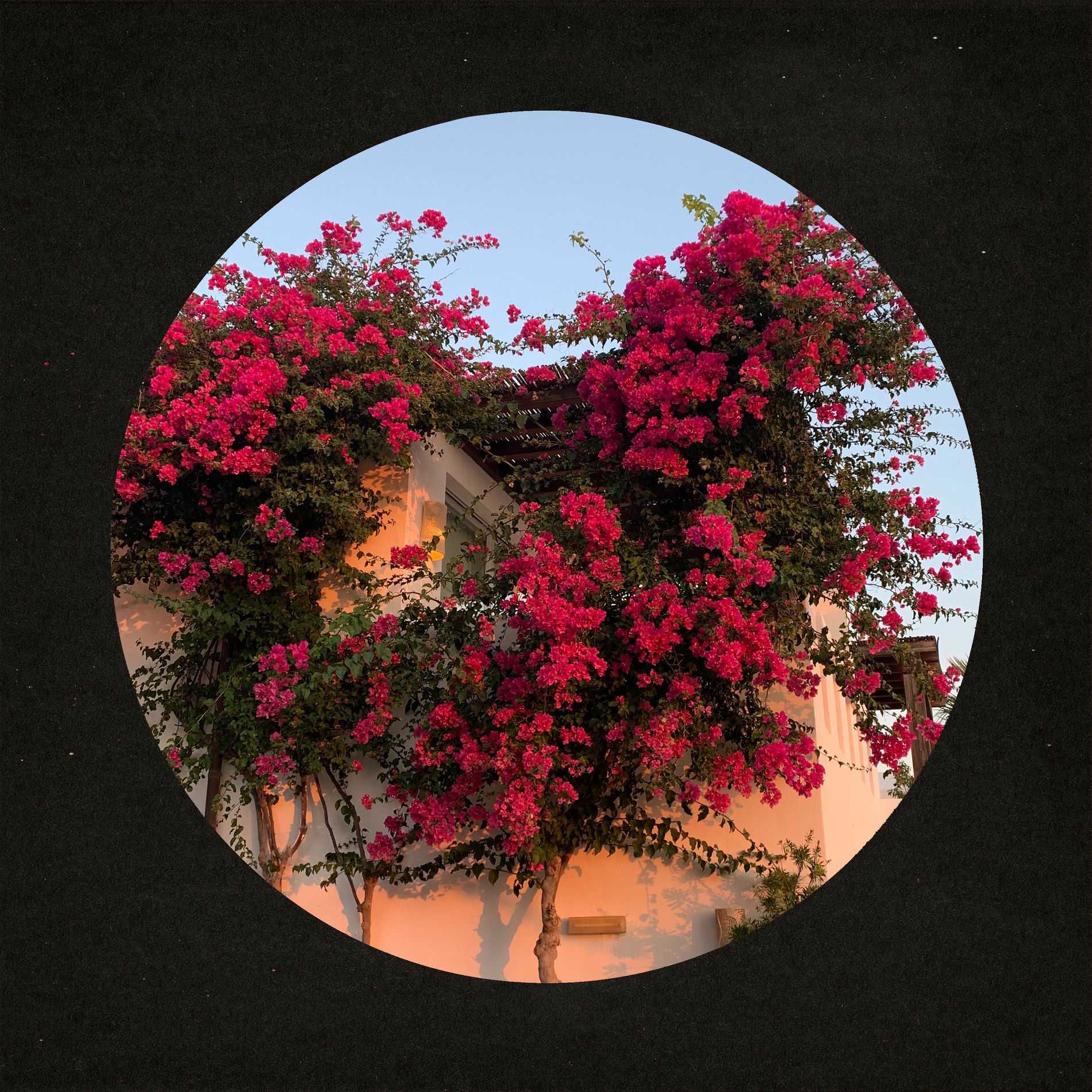 Album cover of New Day