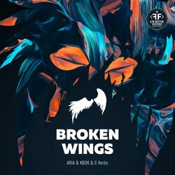 Cover of Broken Wings