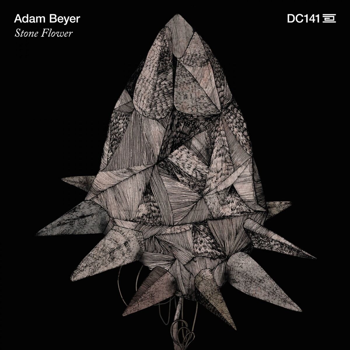 Album cover of Stone Flower