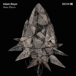 Cover of Stone Flower