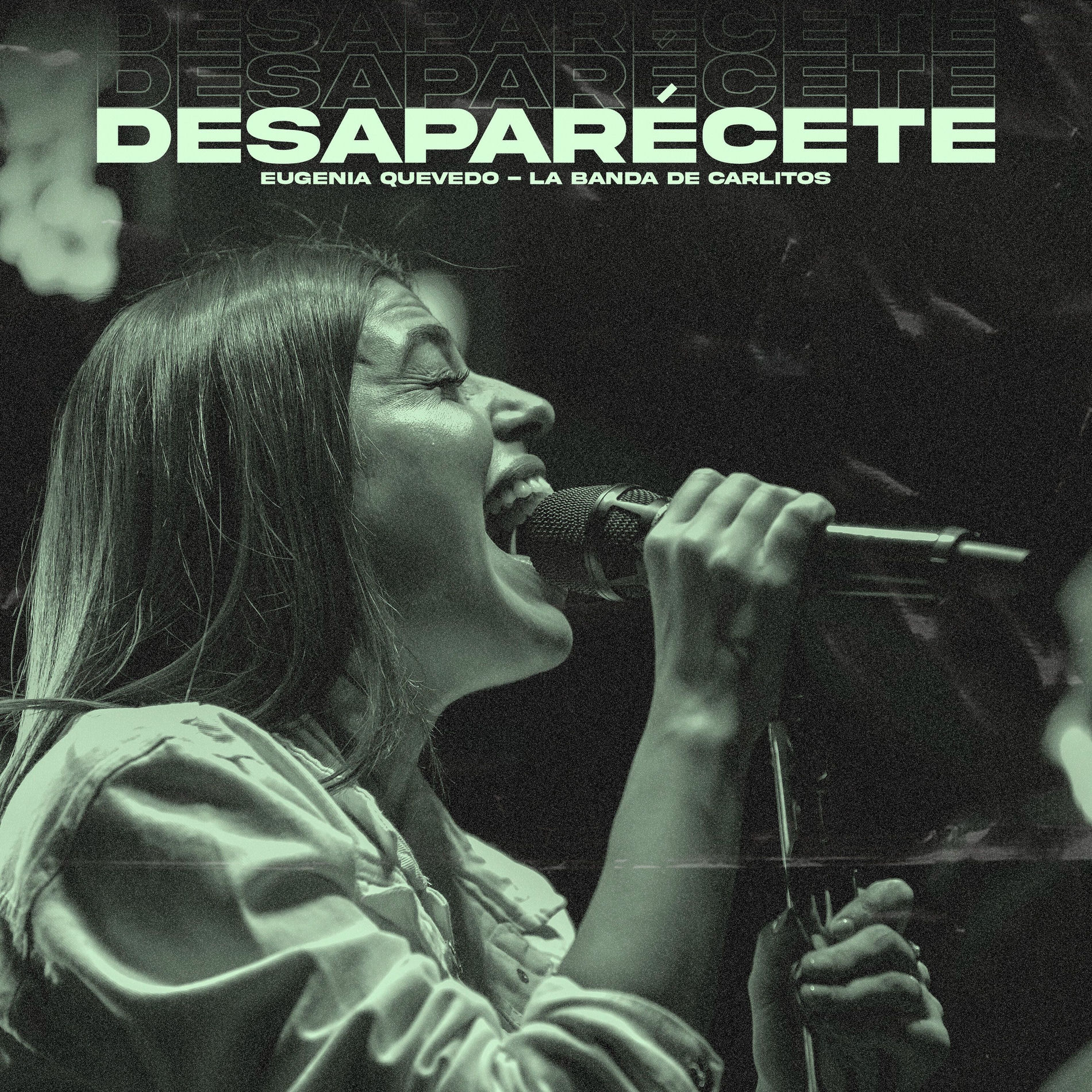 Album cover of Desaparécete (En Vivo)
