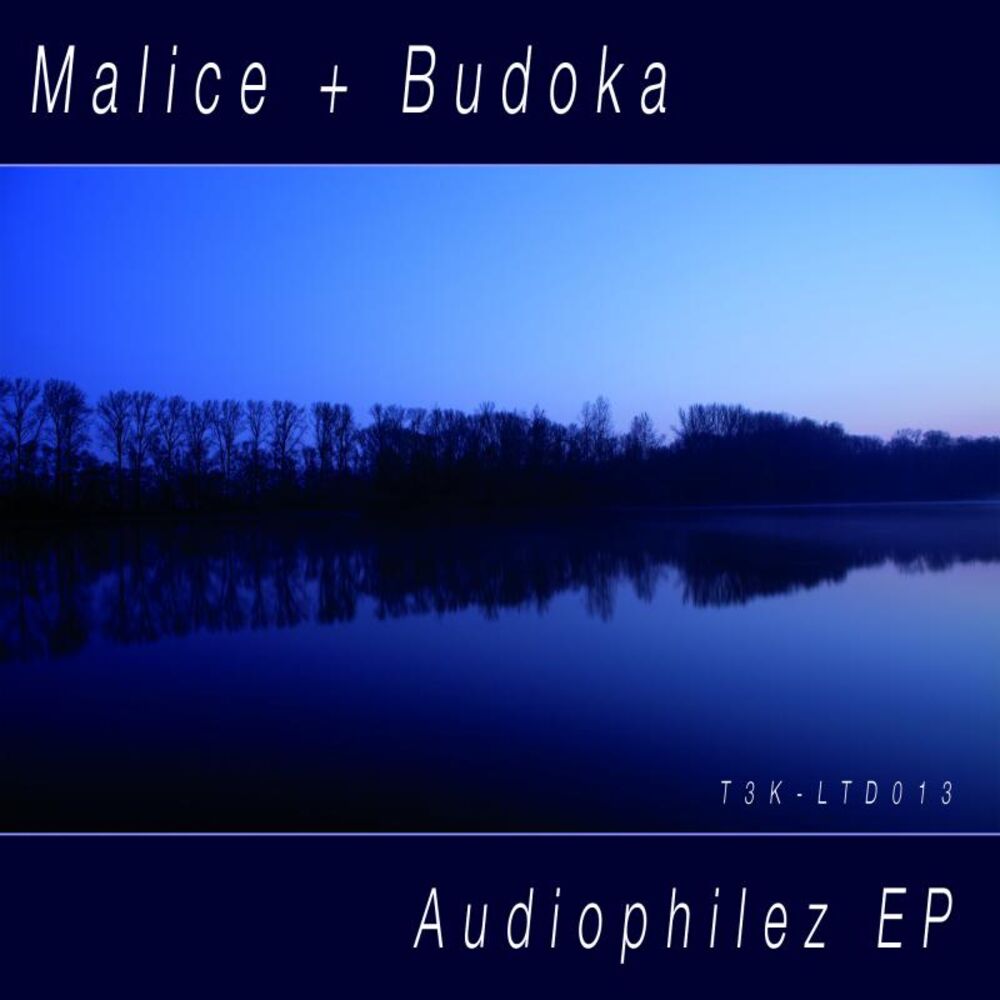 Picture of Audiophilez EP