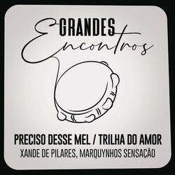 Cover of Preciso Desse Mel / Trilha do Amor