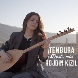Cover of Tembura Destê Min