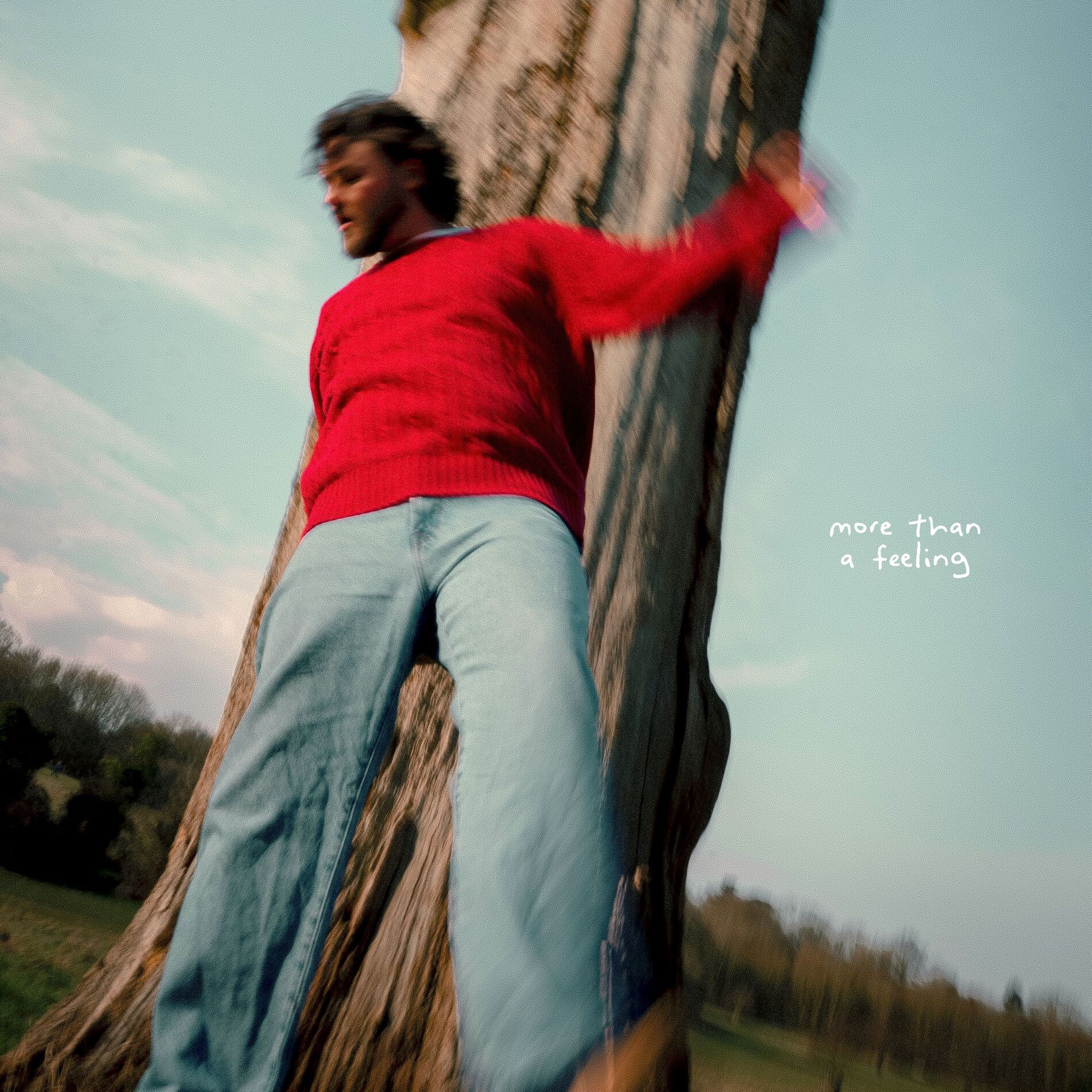 Album cover of More Than A Feeling