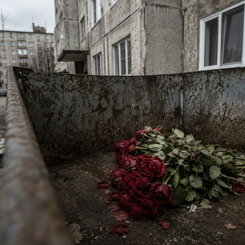 Пью и пою в домофон