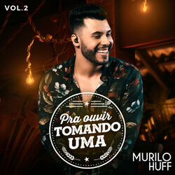 Cover of Pra Ouvir Tomando Uma, Vol. 2