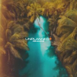 Cover of Unplanned