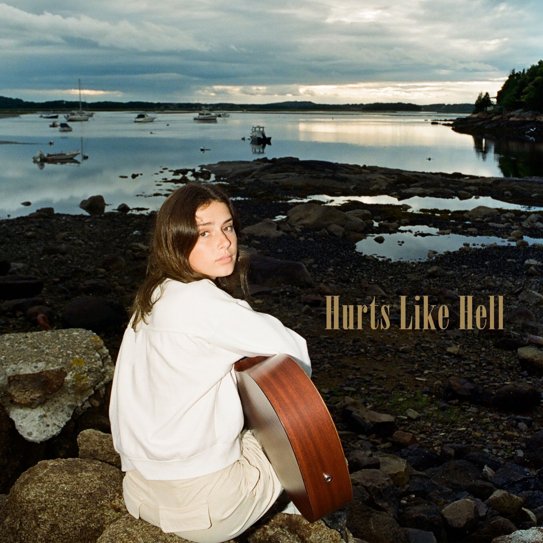 Album cover of Hurts Like Hell