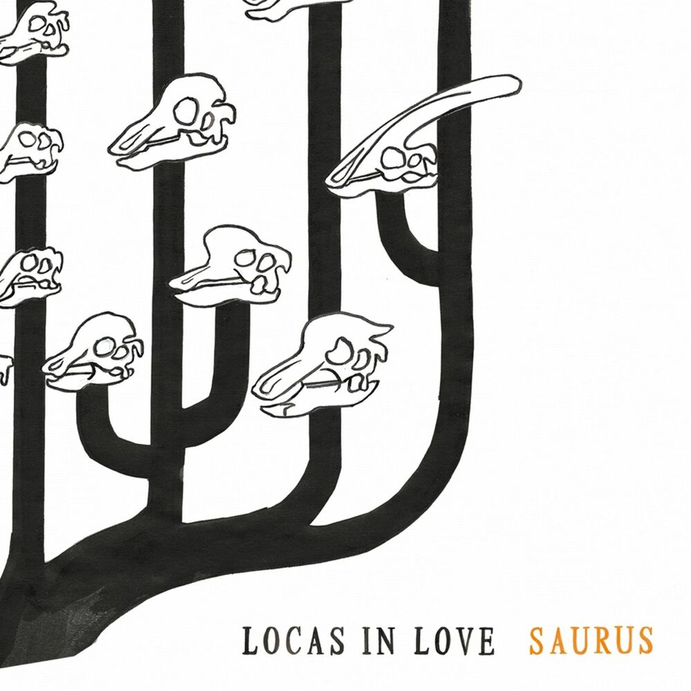 Picture of Saurus