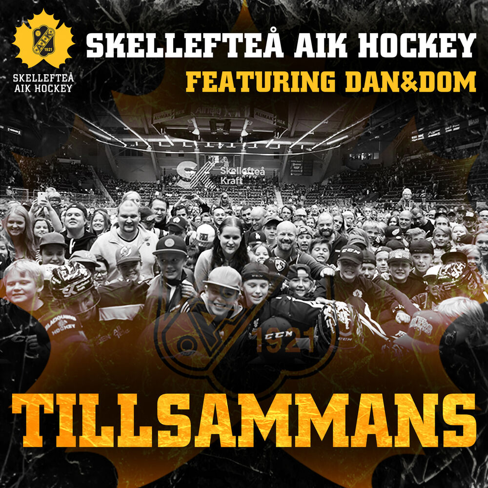 Picture of Tillsammans (feat. Dan & Dom) - Single