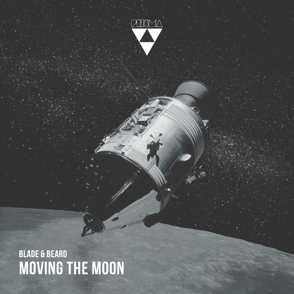 Picture of Moving The Moon